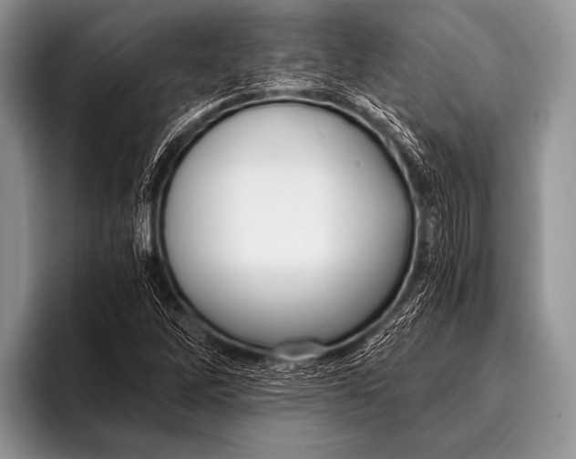 X0000096181262200802081452