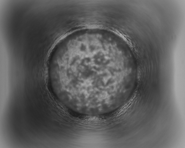 X0000096181263200802081452
