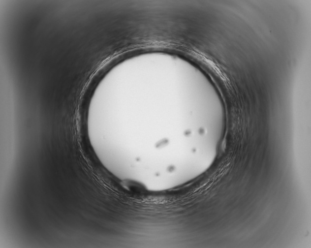 X0000096181264200802081452