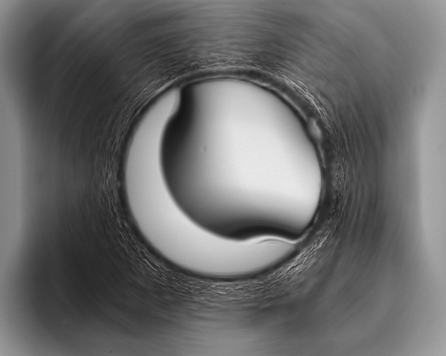 X0000096181265200802081452