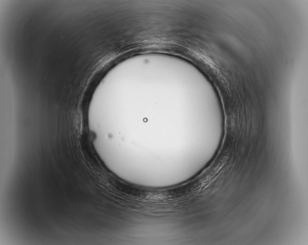 X0000096181267200802081452