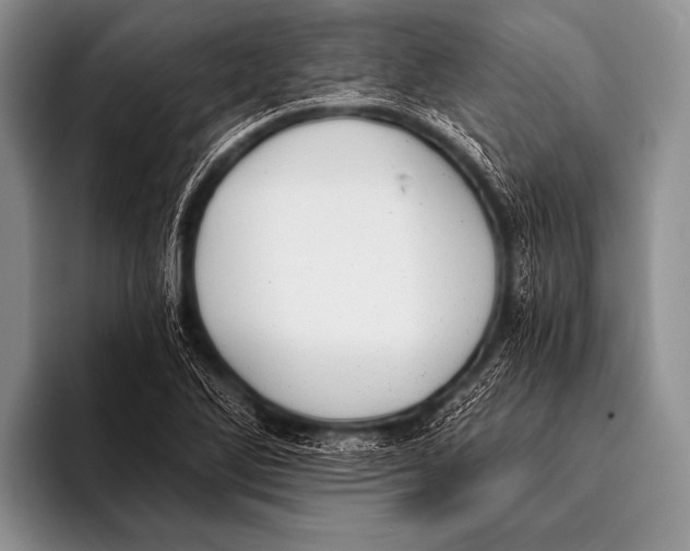 X0000096181270200802081452