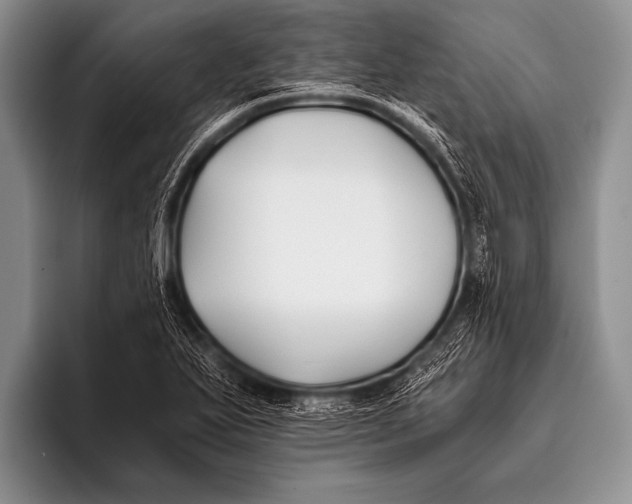 X0000096181271200802081452