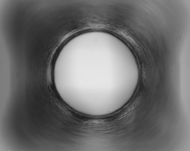 X0000096181272200802081452