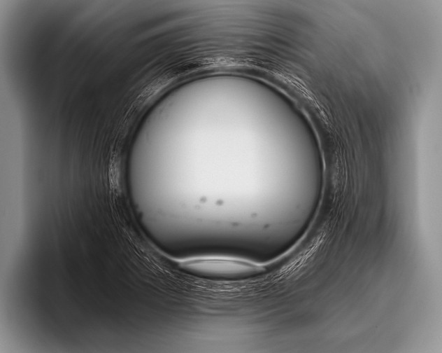 X0000096181273200802081452
