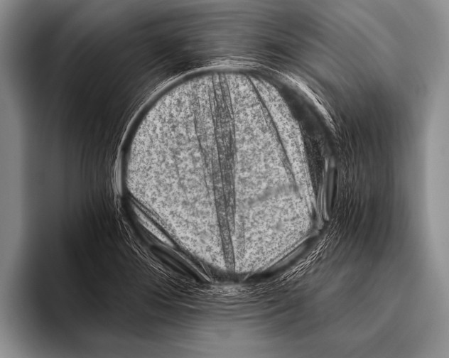 X0000096181276200802081452