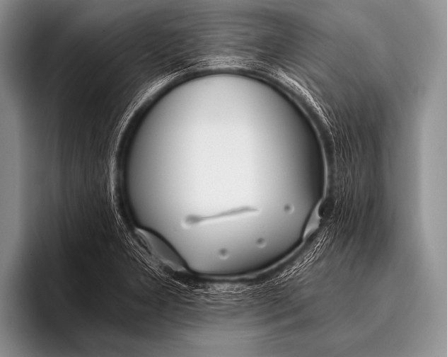 X0000096181277200802081452