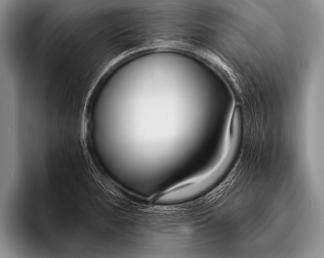 X0000096181280200802081452