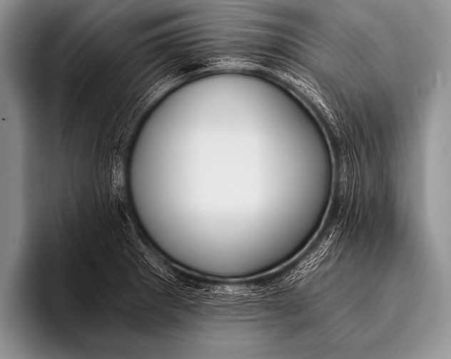 X0000096181281200802081452