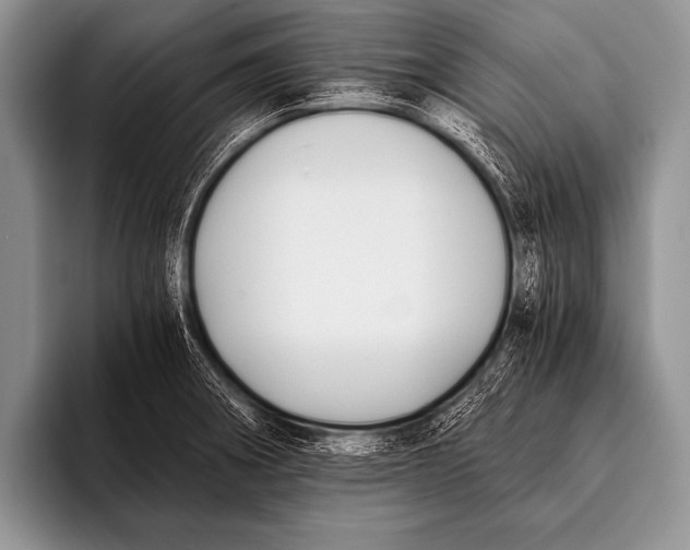 X0000096181282200802081452