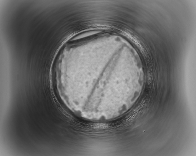 X0000096181283200802081452