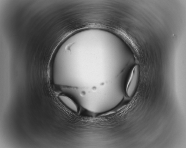 X0000096181284200802081452