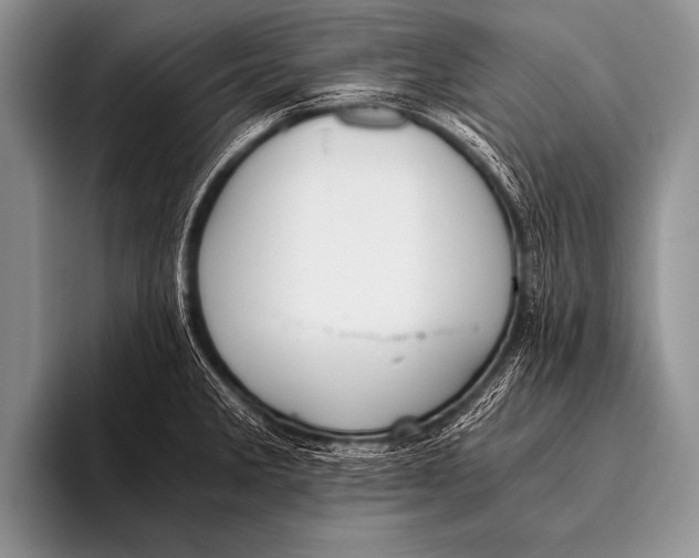 X0000096181285200802081452