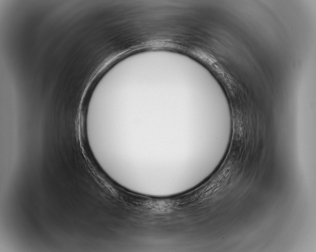 X0000096181286200802081452
