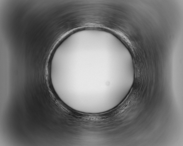 X0000096181287200802081452
