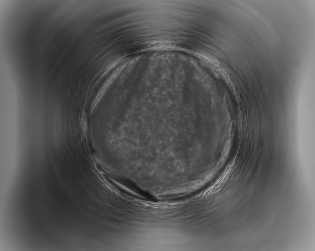 X0000096181289200802081452
