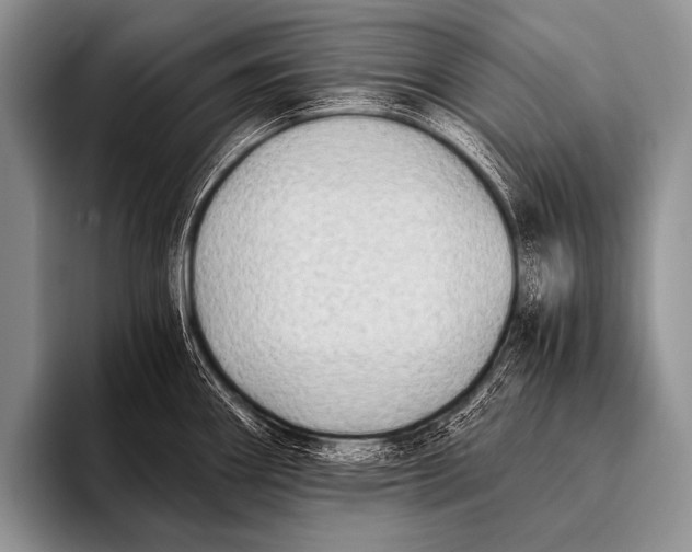 X0000096181290200802081452
