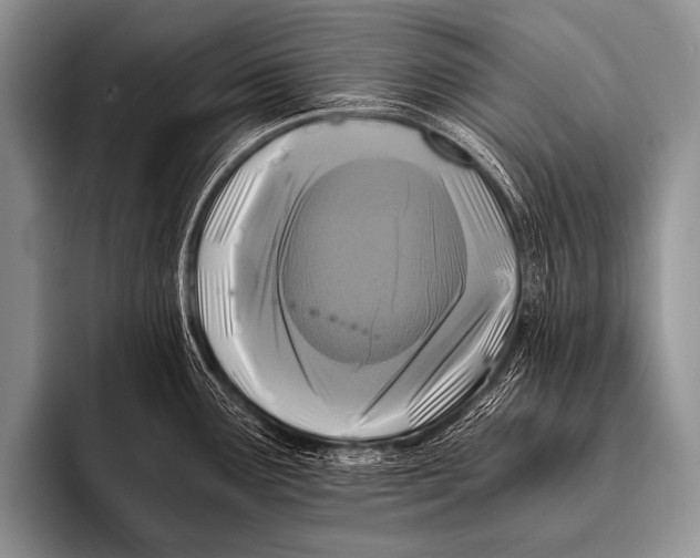 X0000096181291200802081452