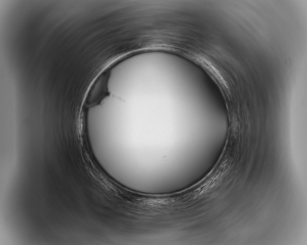 X0000096181292200802081452