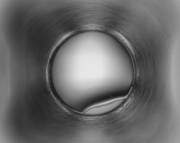 X0000096181293200802081452