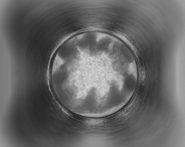 X0000096181294200802081452
