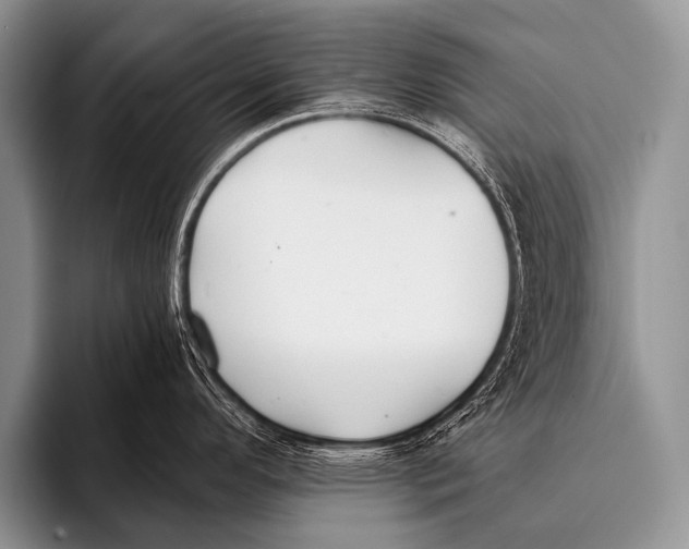 X0000096181296200802081452