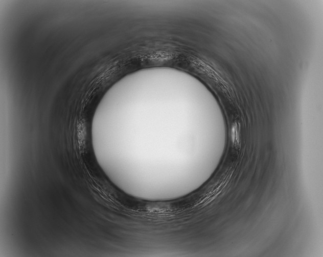 X0000096181299200802081451