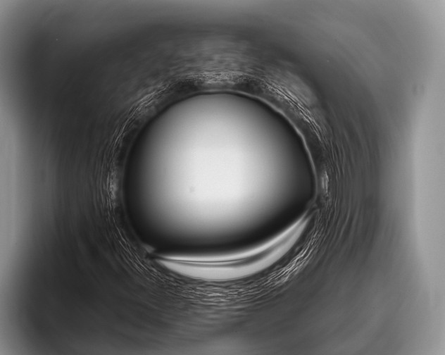 X0000096181300200802081451