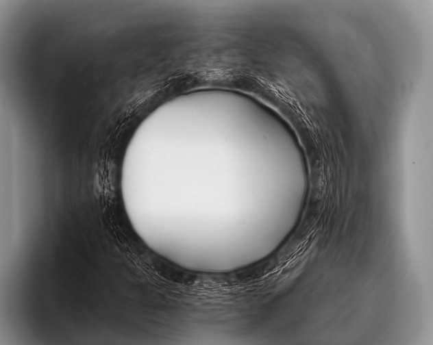 X0000096181301200802081451