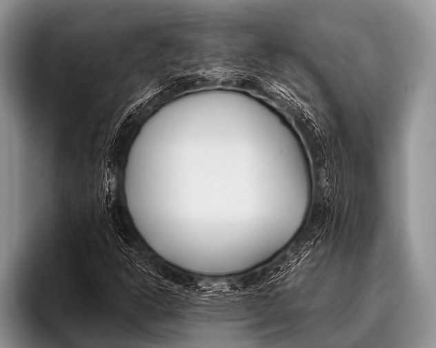 X0000096181302200802081451