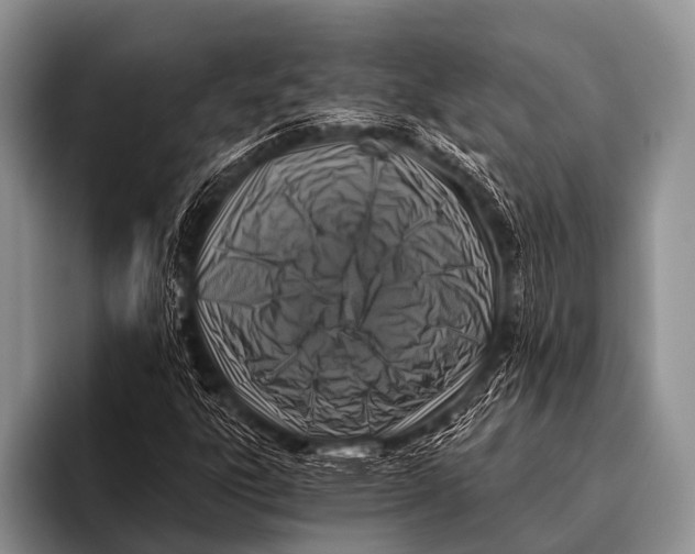 X0000096181303200802081451