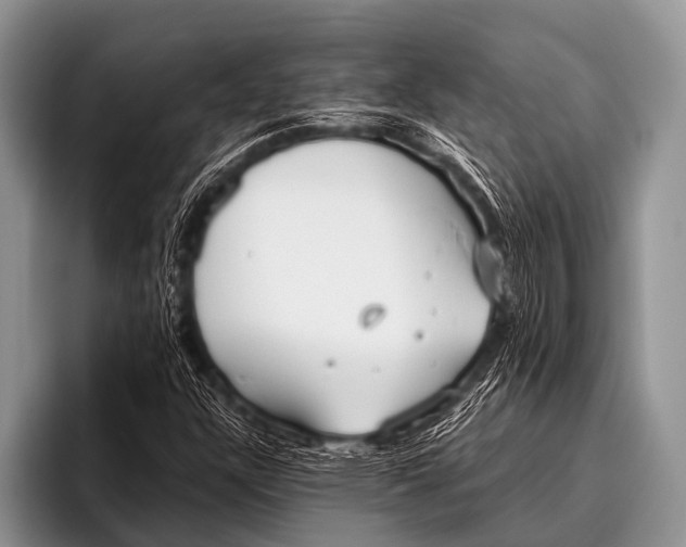 X0000096181304200802081451