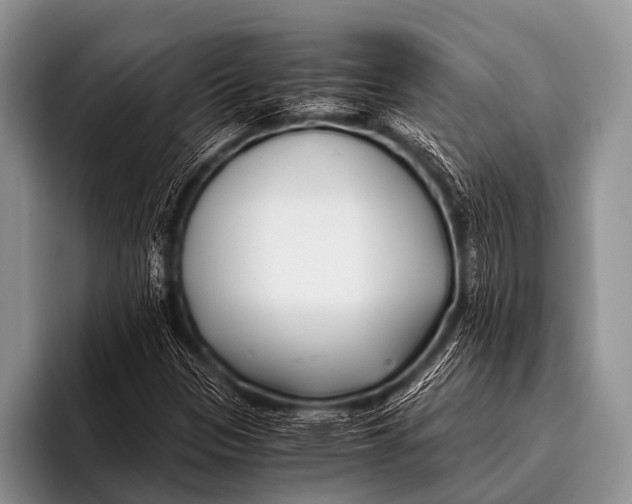 X0000096181305200802081451