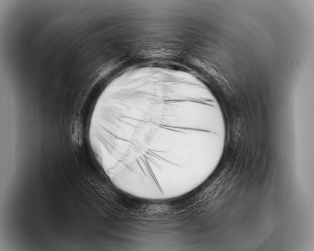 X0000096181306200802081451