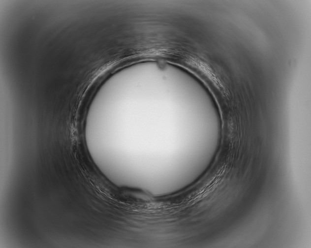 X0000096181308200802081451
