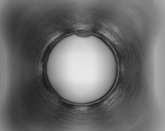 X0000096181309200802081451
