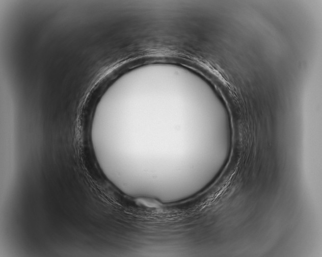 X0000096181311200802081451