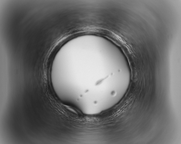 X0000096181312200802081451