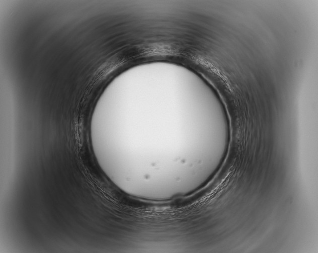 X0000096181313200802081451