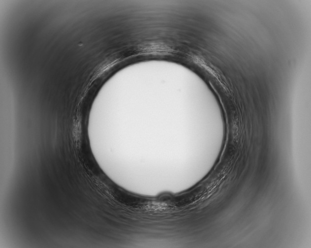 X0000096181315200802081451