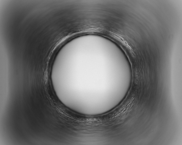 X0000096181316200802081451