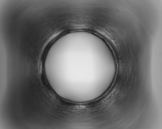 X0000096181317200802081451
