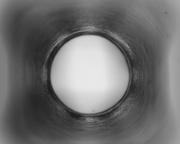 X0000096181318200802081451