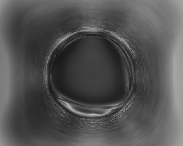 X0000096181319200802081451