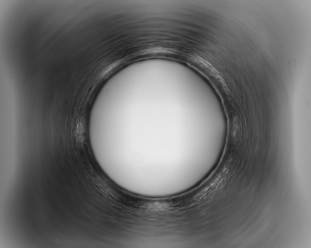X0000096181321200802081451
