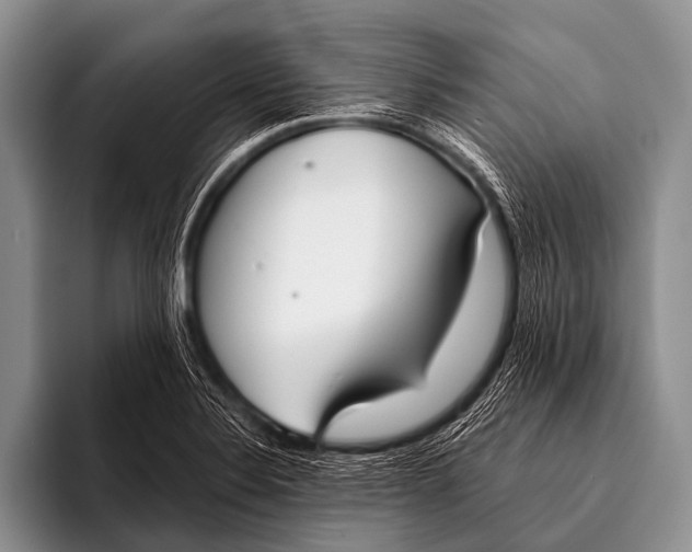X0000096181324200802081451