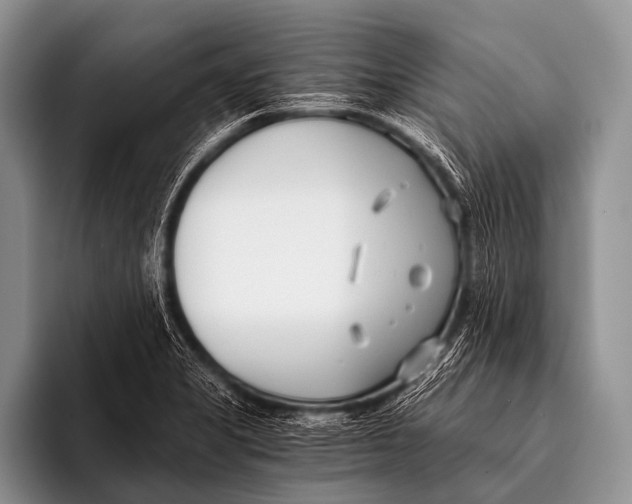 X0000096181325200802081451