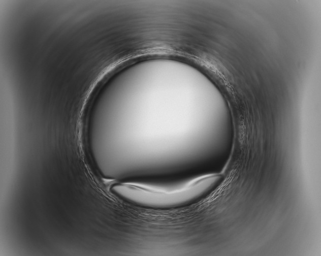 X0000096181326200802081451