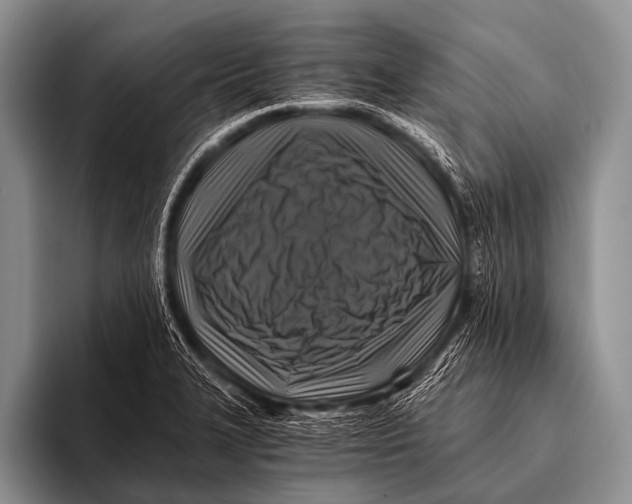X0000096181327200802081452