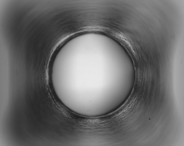 X0000096181328200802081452